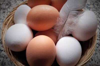 Welche Eier haben Sie im Korb?